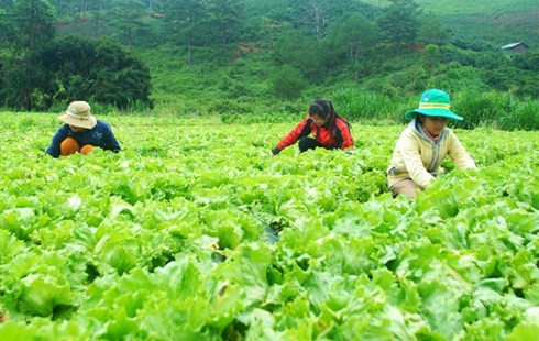 Đà Lạt trong "Dấu ấn Việt Nam"